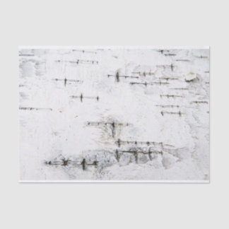 Birch bark pattern tissue paper