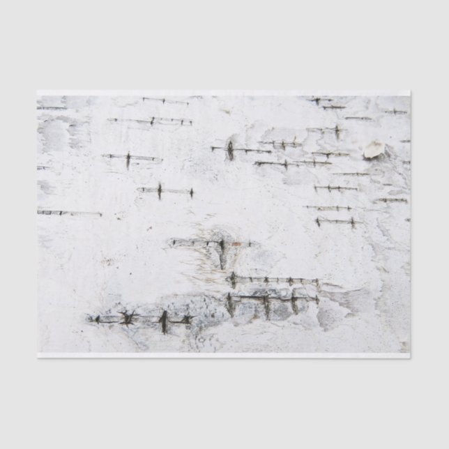 Birch bark pattern tissue paper (Front)