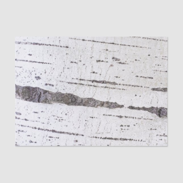 Birch bark pattern tissue paper (Front)