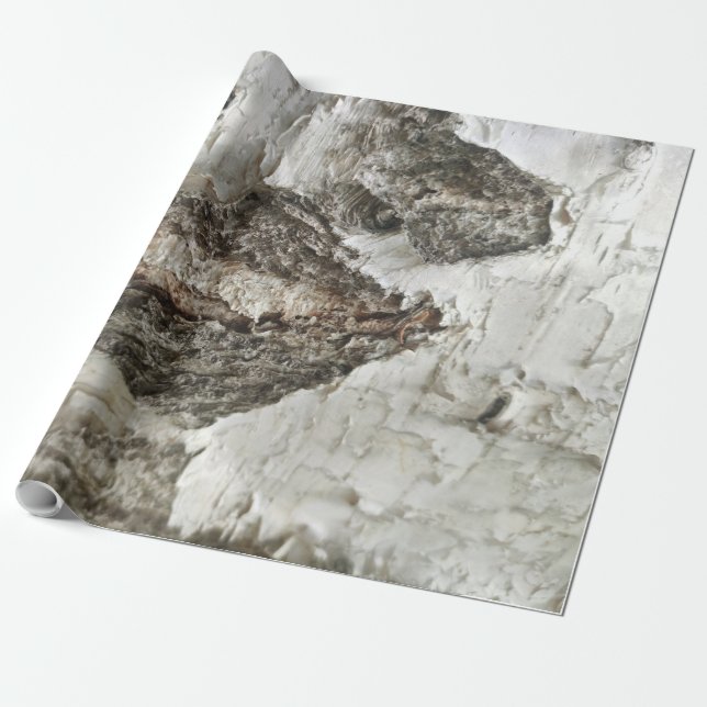 Birch bark pattern wrapping paper (Unrolled)