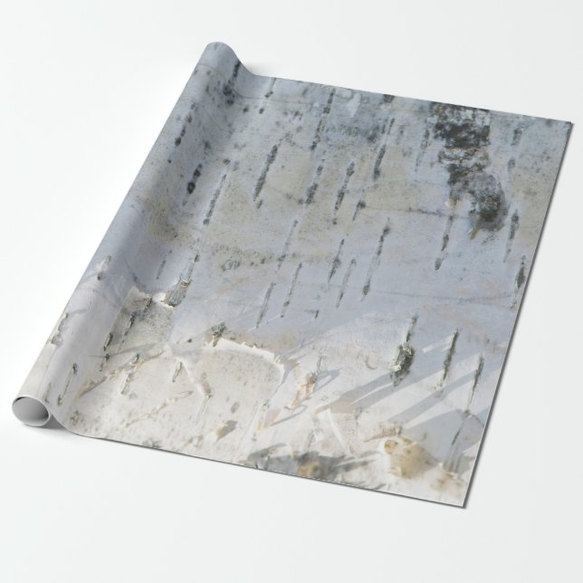Birch bark pattern wrapping paper (Unrolled)