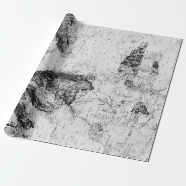 Birch bark pattern wrapping paper (Unrolled)