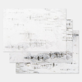 Birch bark pattern wrapping paper sheet