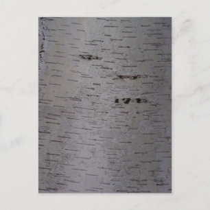 Birch Bark Postcard