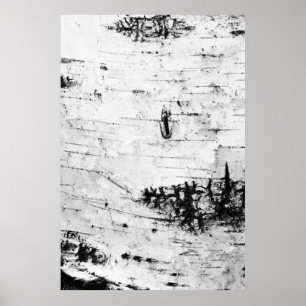 Birch bark poster