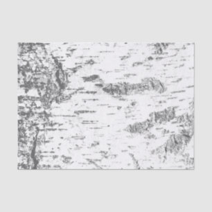 Birch Bark - Simple Rustic Tissue Paper