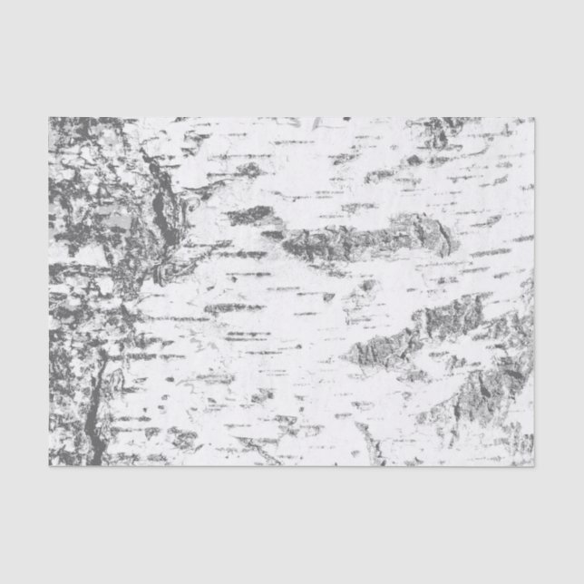 Birch Bark - Simple Rustic Tissue Paper (Front)