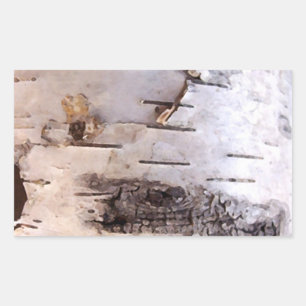Birch Bark Sticker
