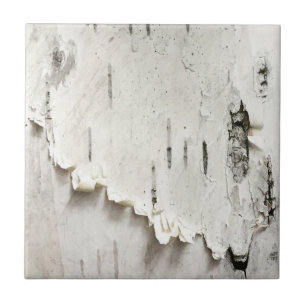 Birch Bark Tile