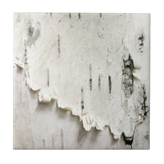 Birch Bark Tile