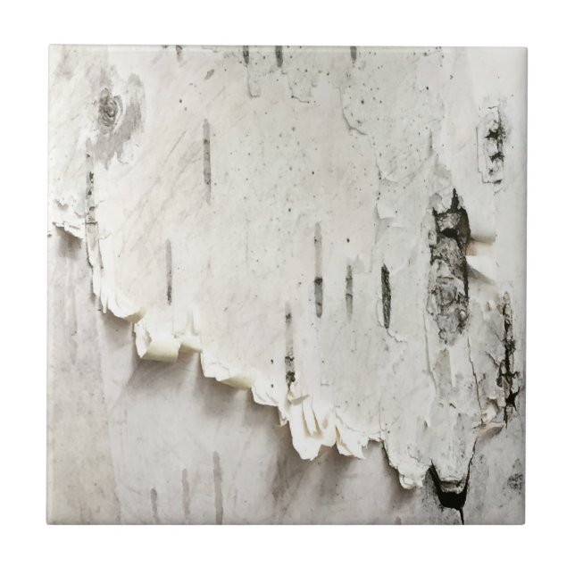 Birch Bark Tile (Front)