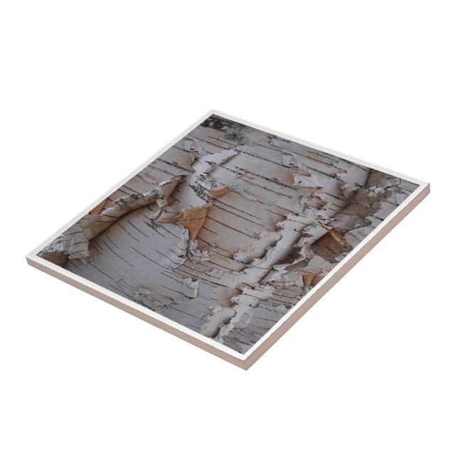 Birch Bark Tile (Side)