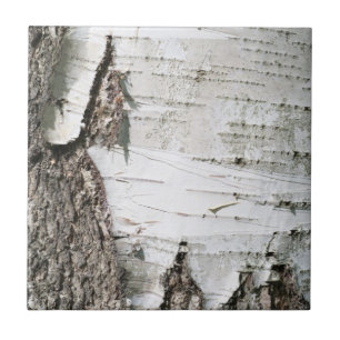 Birch bark tile