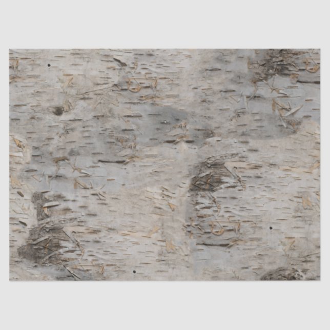 Birch Bark Tissue Paper (Front)