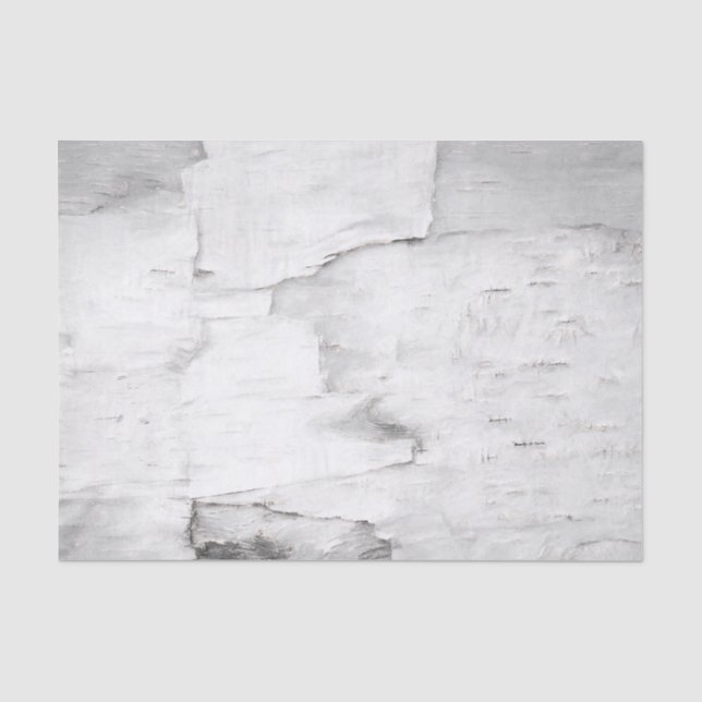 Birch Bark Tree Black And White Rustic Woodland Tissue Paper (Front)