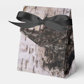 Birch Bark - wood texture nature photo Favor Box