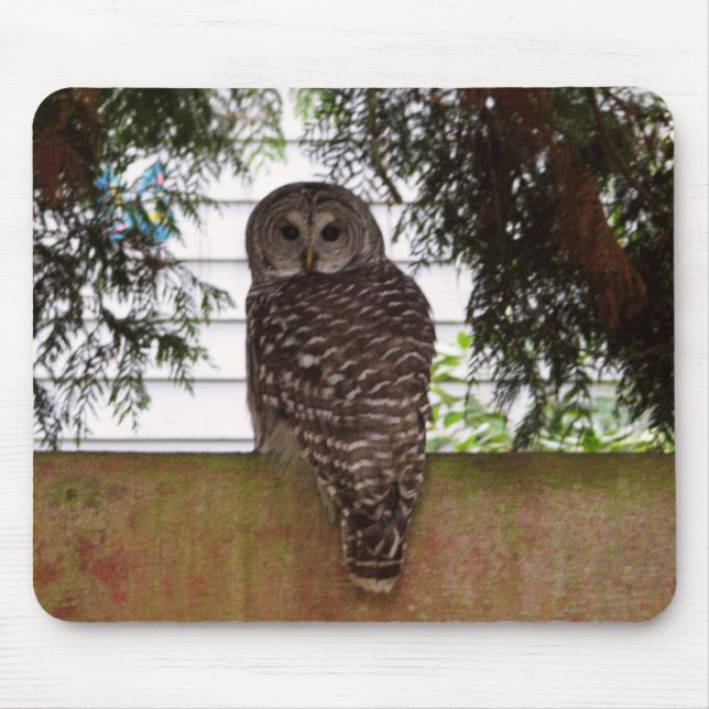 Birch Bay Owl Mouse Pad (Front)