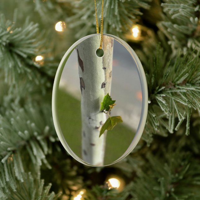 Birch by roadside ceramic ornament (Tree)