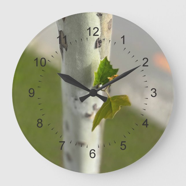 Birch by roadside large clock (Front)