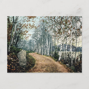 Birch Dr, Lake George NY Postage Postcard