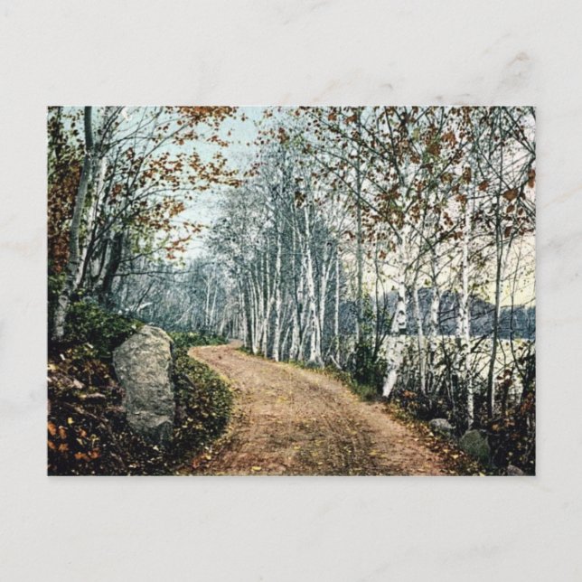 Birch Dr, Lake George NY Postage Postcard (Front)