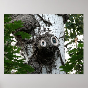 Birch Face Tree photo valeur Poster papier