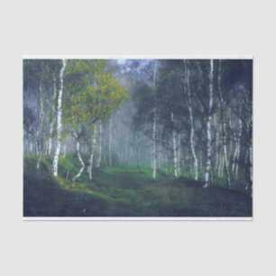 Birch Forest Oil Painting Decoupage Tissue Paper