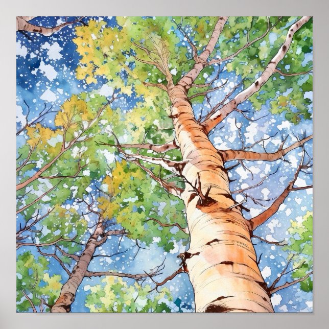 Birch Forest Watercolor Painting Poster (Front)