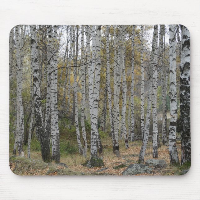 Birch Forrest Photo on Mousepad (Front)