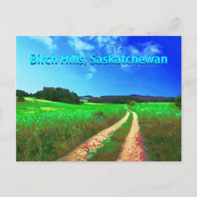 Birch Hills SK postcard - Country road (Front)