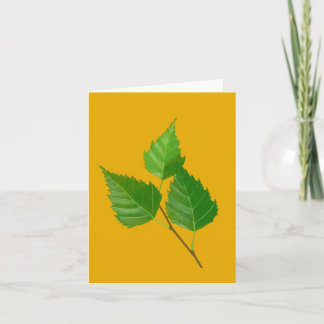 Birch leaf note card