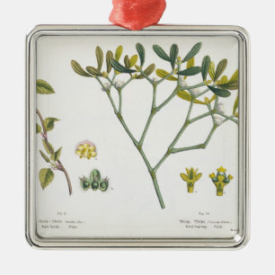 Birch (left) and Mistletoe (right), fig. 9 and 10 Metal Ornament