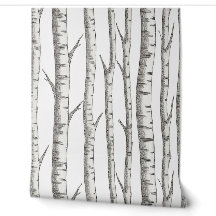Birch: Nature-Inspired