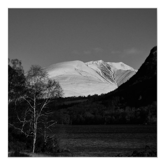 Birch tree and Blencathra Poster (Front)