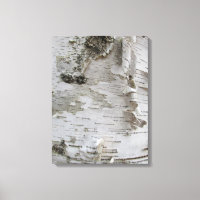 Birch Tree Bark Peeled Old Photo Art