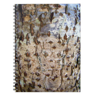 Birch Tree Bark Photo Notebook