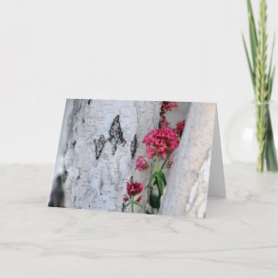Birch Tree Bark Texture Card