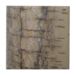 Birch Tree Bark Tile