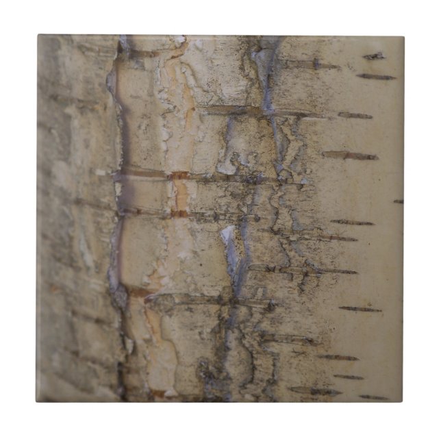 Birch Tree Bark Tile (Front)
