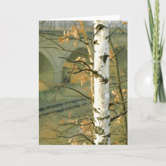 Birch Tree Card