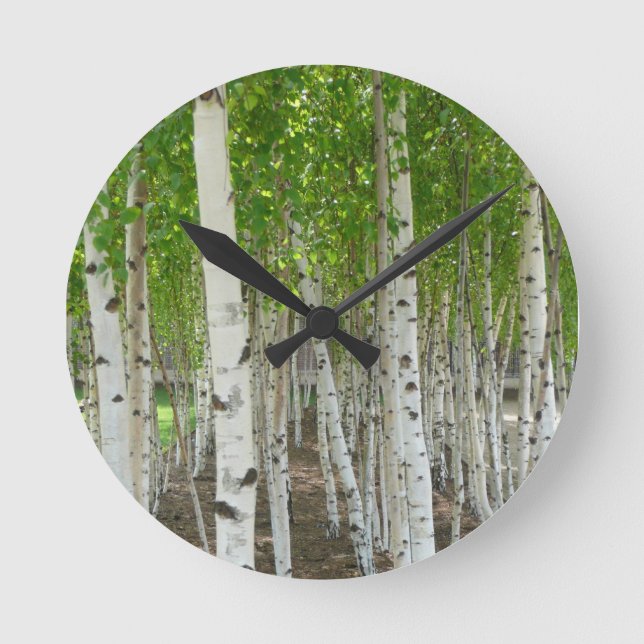 Birch Tree Clock (Front)