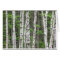 Birch Tree Forest, Maine