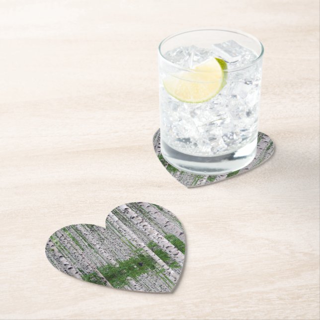 Birch Tree Forest Nature Paper Coaster  (Insitu)