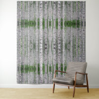 Birch Tree Forest Nature