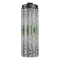 Birch Tree Forest Nature
