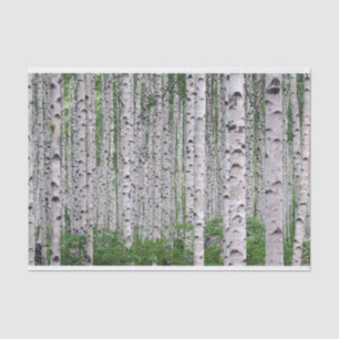 Birch Tree Forest Nature Tissue Paper
