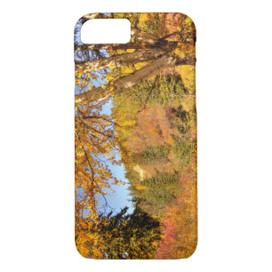 Birch Tree in Autumn Case-Mate iPhone Case