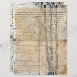 Birch Tree Old Manuscript  Letterhead