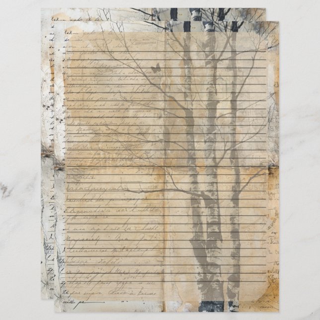 Birch Tree Old Manuscript  Letterhead (Front/Back)
