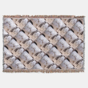 Birch Tree Throw Blanket